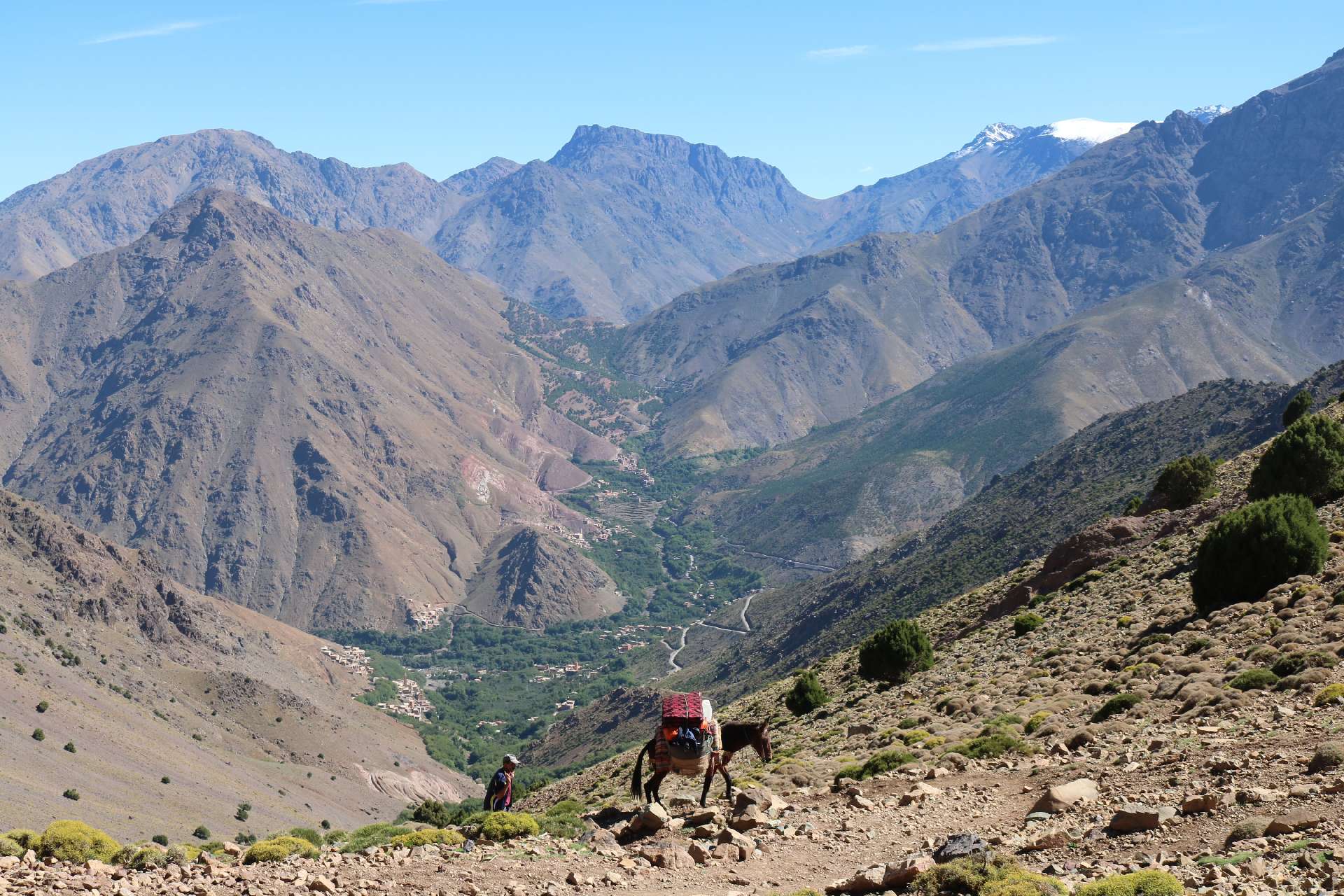 trekking with mule in atlas mountains