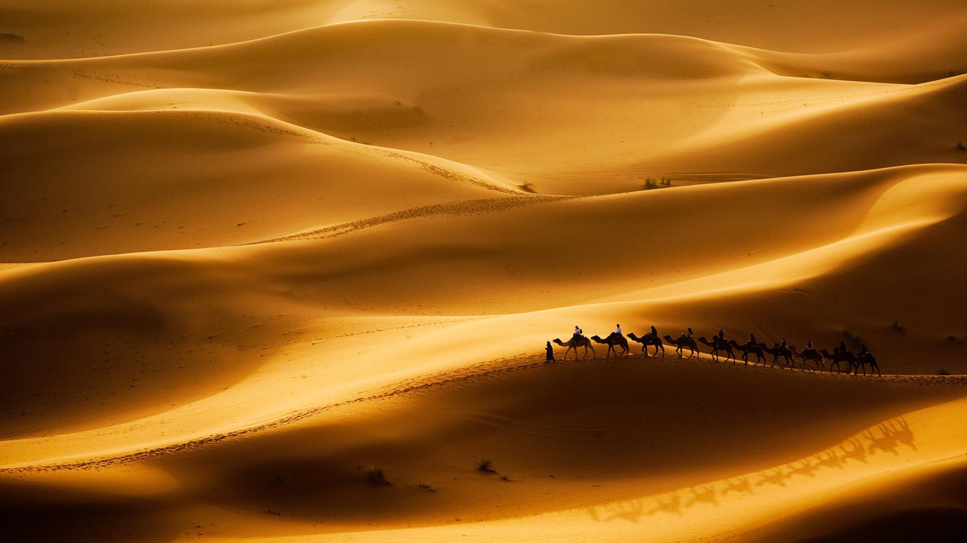 Sahara-deser-morocco