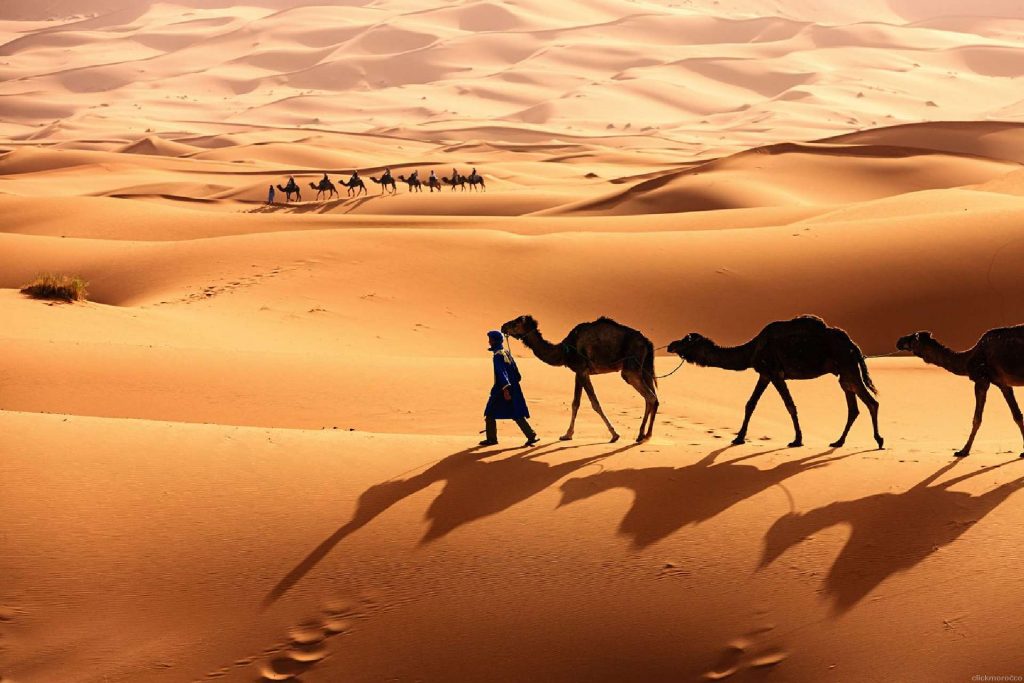 sahara-desert-morocco